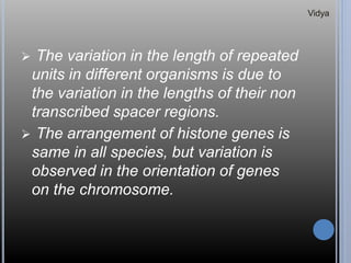  The variation in the length of repeated
units in different organisms is due to
the variation in the lengths of their non
transcribed spacer regions.
 The arrangement of histone genes is
same in all species, but variation is
observed in the orientation of genes
on the chromosome.
Vidya
 