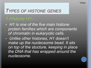 TYPES OF HISTONE GENES
1.Histone H1:-
• H1 is one of the five main histone
protein families which are components
of chromatin in eukaryotic cells.
• Unlike other histones, H1 doesn’t
make up the nucleosome bead. It sits
on top of the stucture, keeping in place
the DNA that has wrapped around the
nucleosome.
Vidya
 