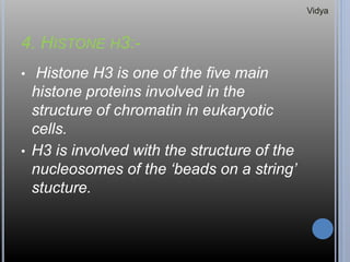 4. HISTONE H3:-
• Histone H3 is one of the five main
histone proteins involved in the
structure of chromatin in eukaryotic
cells.
• H3 is involved with the structure of the
nucleosomes of the ‘beads on a string’
stucture.
Vidya
 