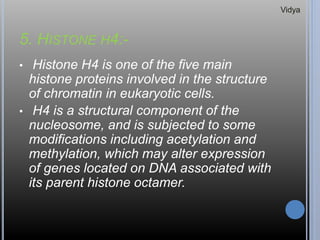5. HISTONE H4:-
• Histone H4 is one of the five main
histone proteins involved in the structure
of chromatin in eukaryotic cells.
• H4 is a structural component of the
nucleosome, and is subjected to some
modifications including acetylation and
methylation, which may alter expression
of genes located on DNA associated with
its parent histone octamer.
Vidya
 