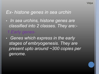 Ex- histone genes in sea urchin
• In sea urchins, histone genes are
classified into 2 classes. They are:-
1.Early genes-
• Genes which express in the early
stages of embryogenesis. They are
present upto around ~300 copies per
genome.
Vidya
 