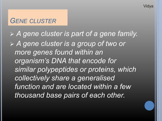 GENE CLUSTER
 A gene cluster is part of a gene family.
 A gene cluster is a group of two or
more genes found within an
organism’s DNA that encode for
similar polypeptides or proteins, which
collectively share a generalised
function and are located within a few
thousand base pairs of each other.
Vidya
 