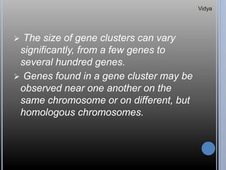  The size of gene clusters can vary
significantly, from a few genes to
several hundred genes.
 Genes found in a gene cluster may be
observed near one another on the
same chromosome or on different, but
homologous chromosomes.
Vidya
 