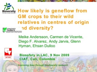 How likely is geneflow from GM crops to their wild relatives in centres of origin and diversity? Meike Andersson, Carmen de Vicente, Diego F. Alvarez,   Andy Jarvis, Glenn Hyman, Ehsan Dulloo Biosafety in LAC, 9 Nov 2009 CIAT, Cali, Colombia 