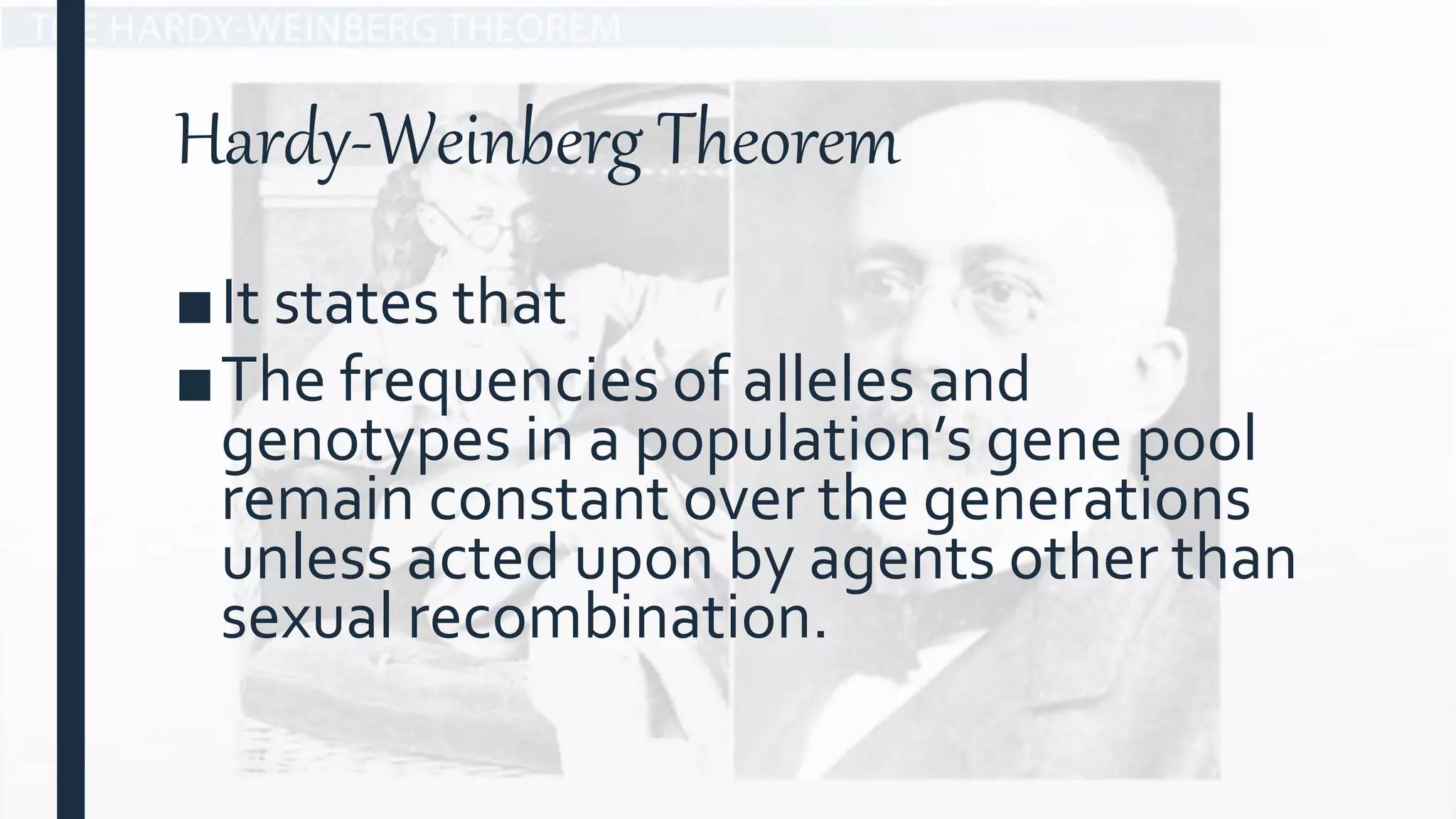 Hardy-Weinberg Theorem
■It states that
■The frequencies of alleles and
genotypes in a population’s gene pool
remain constant over the generations
unless acted upon by agents other than
sexual recombination.
 