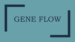 GENE FLOW
 