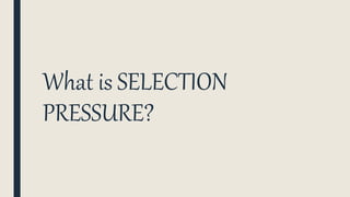 What is SELECTION
PRESSURE?
 