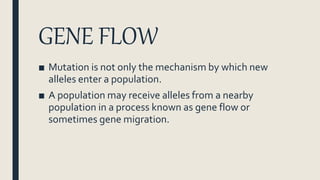GENE FLOW
■ Mutation is not only the mechanism by which new
alleles enter a population.
■ A population may receive alleles from a nearby
population in a process known as gene flow or
sometimes gene migration.
 