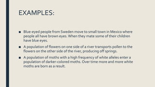 EXAMPLES:
■ Blue-eyed people from Sweden move to small town in Mexico where
people all have brown eyes.When they mate some of their children
have blue eyes.
■ A population of flowers on one side of a river transports pollen to the
flowers on the other side of the river, producing off springs.
■ A population of moths with a high frequency of white alleles enter a
population of darker-colored moths. Over time more and more white
moths are born as a result.
 