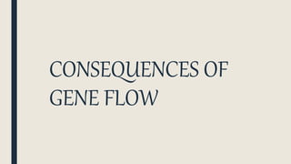 CONSEQUENCES OF
GENE FLOW
 