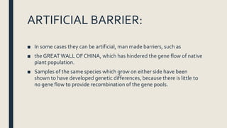 ARTIFICIAL BARRIER:
■ In some cases they can be artificial, man made barriers, such as
■ the GREATWALL OF CHINA, which has hindered the gene flow of native
plant population.
■ Samples of the same species which grow on either side have been
shown to have developed genetic differences, because there is little to
no gene flow to provide recombination of the gene pools.
 