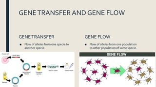 GENETRANSFERAND GENE FLOW
GENETRANSFER
■ Flow of alleles from one specie to
another specie.
GENE FLOW
■ Flow of alleles from one population
to other population of same specie.
 