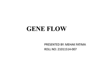 GENE FLOW
PRESENTED BY: MEHAK FATIMA
ROLL NO: 21011514-007
 
