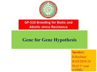 Gene for Gene Hypothesis
Speaker:
B.Rachana
RAD/2018-18
Ph.D 1st year
(GPBR)
GP-510 Breeding for Biotic and
Abiotic stress Resistance
 