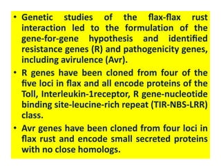 Gene for gene hypothesis | PPTX