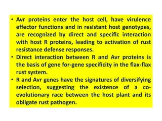 Gene for gene hypothesis | PPTX