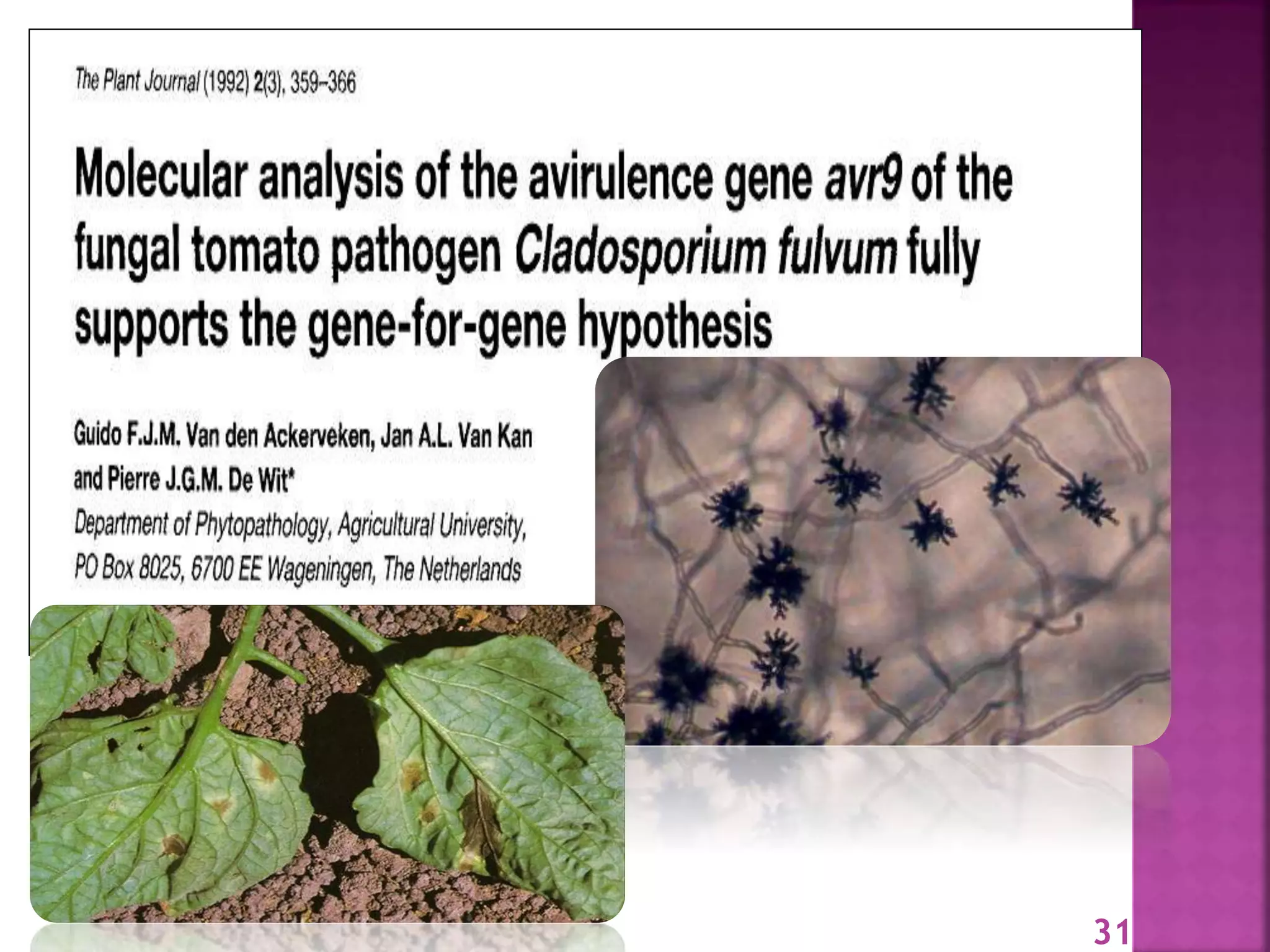 Gene for gene system in plant fungus interaction | PPTX