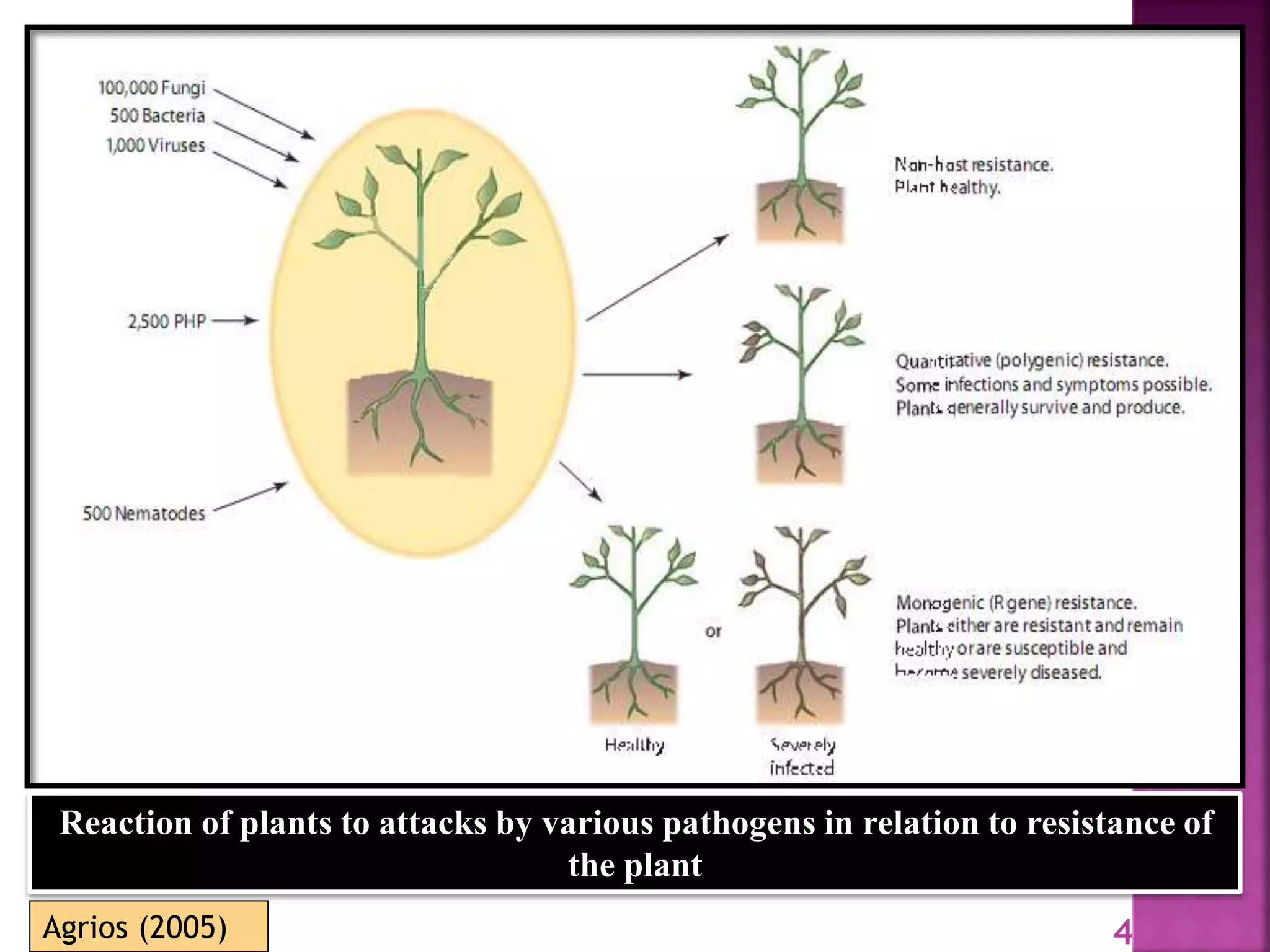 Gene for gene system in plant fungus interaction | PPTX