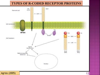 Gene for gene system in plant fungus interaction | PPTX