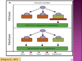 Gene for gene system in plant fungus interaction | PPTX