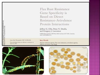 Gene for gene system in plant fungus interaction | PPTX