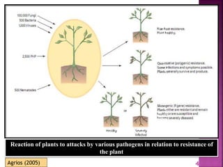 Gene for gene system in plant fungus interaction | PPTX