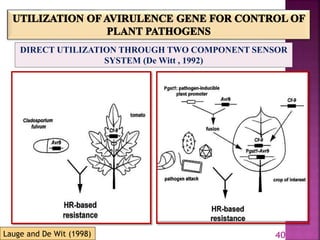 Gene for gene system in plant fungus interaction | PPTX