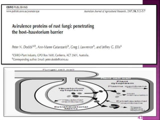 Gene for gene system in plant fungus interaction | PPTX