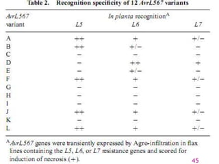 Gene for gene system in plant fungus interaction | PPTX