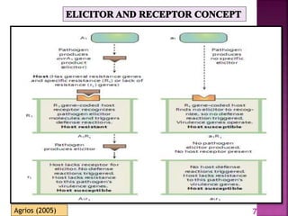 Gene for gene system in plant fungus interaction | PPTX