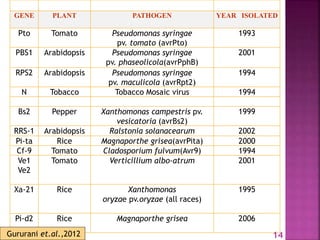 GENE PLANT PATHOGEN YEAR ISOLATED
Pto Tomato Pseudomonas syringae
pv. tomato (avrPto)
1993
PBS1 Arabidopsis Pseudomonas syringae
pv. phaseolicola(avrPphB)
2001
RPS2 Arabidopsis Pseudomonas syringae
pv. maculicola (avrRpt2)
1994
N Tobacco Tobacco Mosaic virus 1994
Bs2 Pepper Xanthomonas campestris pv.
vesicatoria (avrBs2)
1999
RRS-1 Arabidopsis Ralstonia solanacearum 2002
Pi-ta Rice Magnaporthe grisea(avrPita) 2000
Cf-9 Tomato Cladosporium fulvum(Avr9) 1994
Ve1
Ve2
Tomato Verticillium albo-atrum 2001
Xa-21 Rice Xanthomonas
oryzae pv.oryzae (all races)
1995
Pi-d2 Rice Magnaporthe grisea 2006
14
Gururani et.al.,2012
 