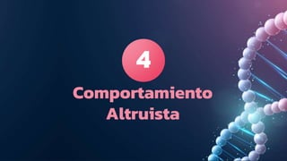 Comportamiento
Altruista
4
 