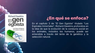 ¿En qué se enfoca?
En el capítulo 3 de "El Gen Egoísta" titulado "Las
Espirales Inmortales", Richard Dawkins profundiza en
la idea de que la evolución de la conducta social en
los animales, incluidos los humanos, puede ser
entendida a través del lente de la genética y la
selección natural.
 
