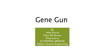 Gene Gun
By
Allah Nawaz
Class: BS Botany
Presented to
Dr NOSHIA ARSHAD
Subject: Genetic Engineering
 