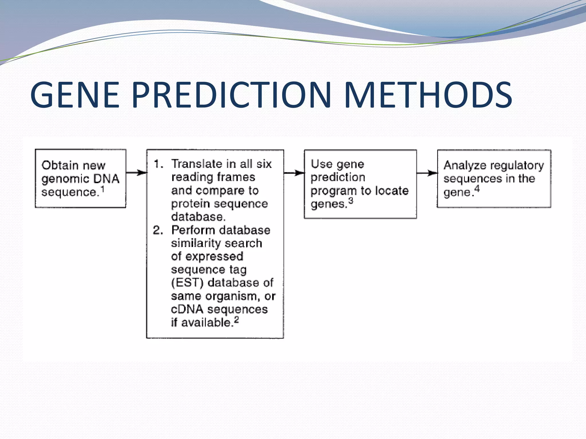 GENE PREDICTION METHODS