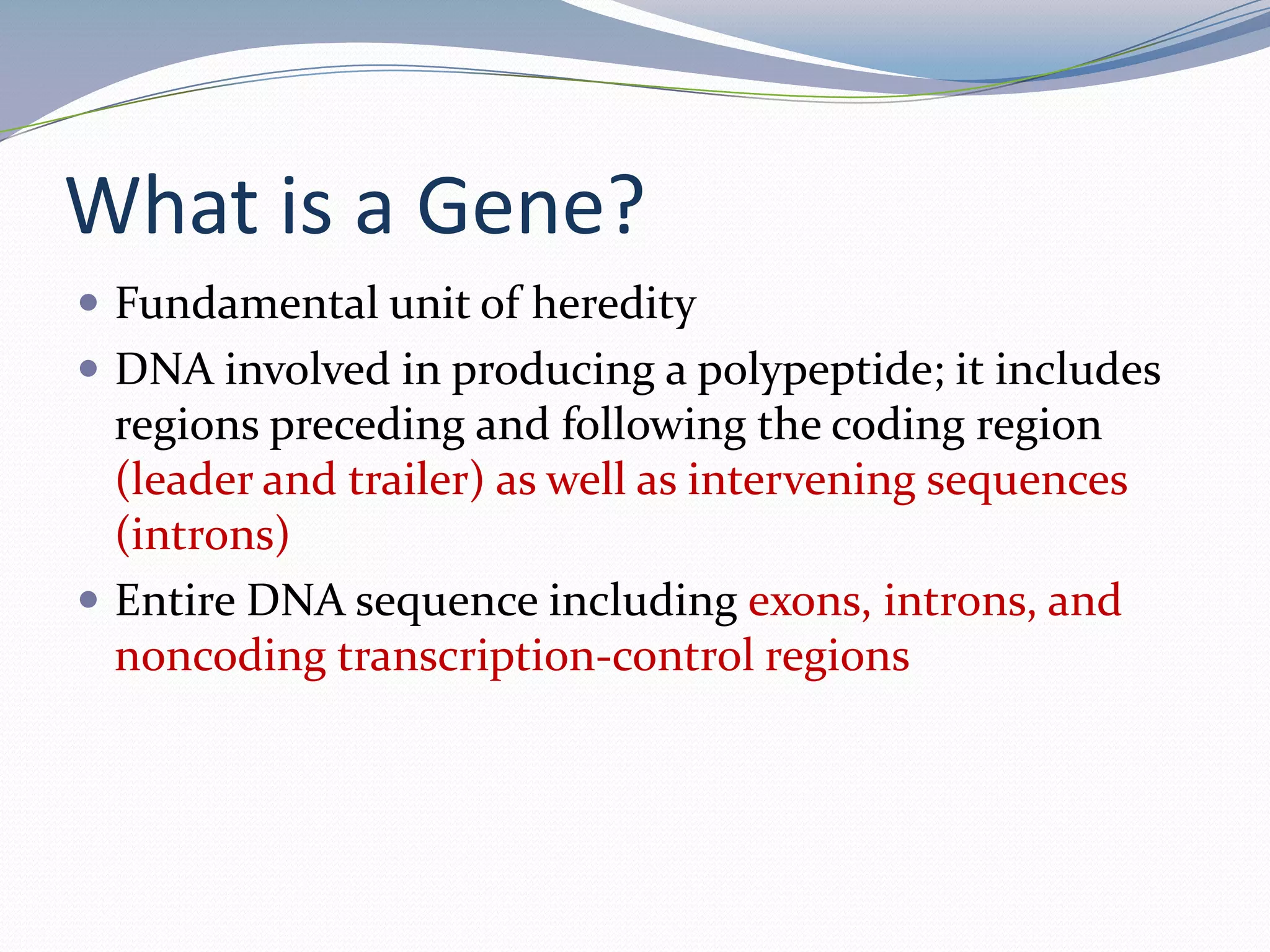 What is a Gene?Fundamental unit of heredityDNA involved in producing a polypeptide; it includes regions preceding and following the coding region (leader and trailer) as well as intervening sequences (introns)Entire DNA sequence including exons, introns, and noncoding transcription-control regions