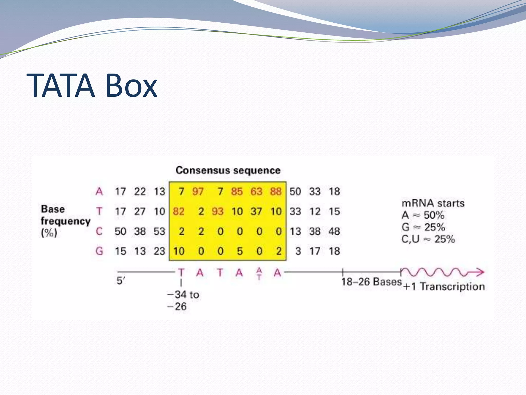 TATA Box