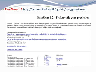 Gene identification and discovery | PPTX