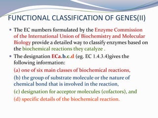 Ec Number Gene identification and discovery | PPTX