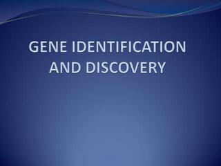 GENE IDENTIFICATION AND DISCOVERY 