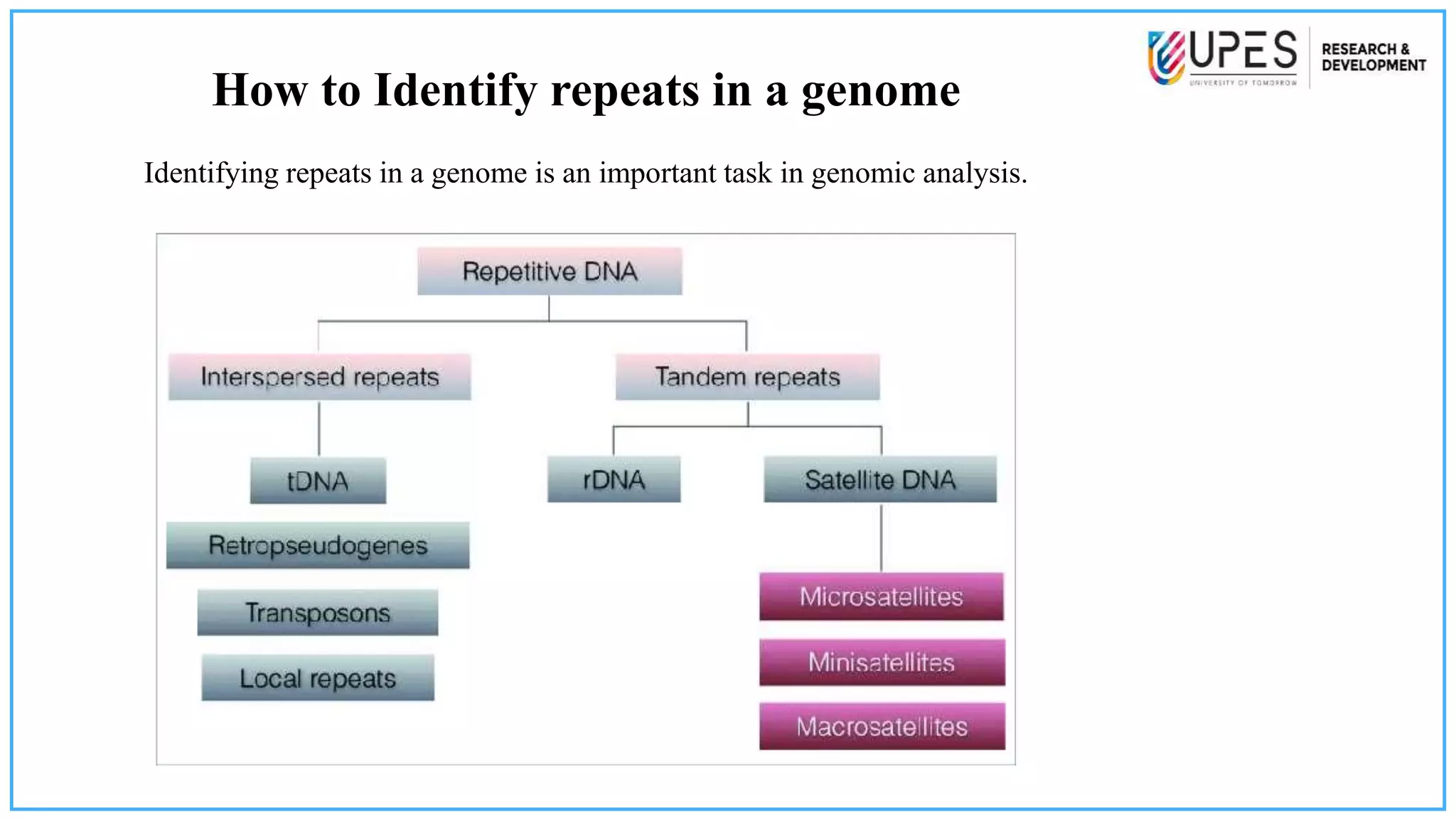 Gene identification using bioinformatic tools.pptx