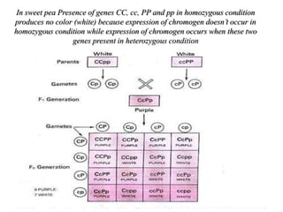 Gene interaction | PPTX