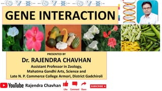 GENE INTERACTION
PRESENTED BY
Dr. RAJENDRA CHAVHAN
Assistant Professor in Zoology,
Mahatma Gandhi Arts, Science and
Late N. P. Commerce College Armori, District Gadchiroli
Rajendra Chavhan
 