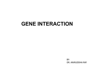 GENE INTERACTION
BY-
DR. ANIRUDDHA RAY
 