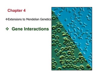 1
Chapter 4
!
!Extensions to
Extensions to Mendelian
Mendelian Genetics
Genetics
! Gene Interactions
 