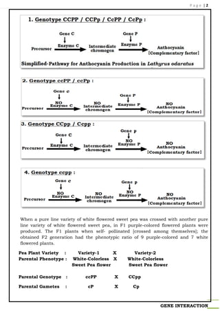 2. Gene interaction - complementary | PDF