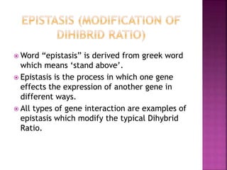  Word “epistasis” is derived from greek word
which means ‘stand above’.
 Epistasis is the process in which one gene
effects the expression of another gene in
different ways.
 All types of gene interaction are examples of
epistasis which modify the typical Dihybrid
Ratio.
 