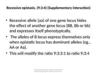 Dr.V.Malathi,Associate Professor in Biochem
istry,Ethiraj College for Women,Chennai-8
Recessive epistasis. (9:3:4) (Supplementary interaction)
• Recessive allele (aa) of one gene locus hides
the effect of another gene locus (BB, Bb or bb)
and expresses itself phenotypically.
• The alleles of B locus express themselves only
when epistatic locus has dominant alleles (eg.,
AA or Aa).
• This will modify the ratio 9:3:3:1 to ratio 9:3:4
 