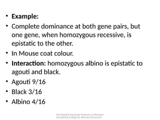 Dr.V.Malathi,Associate Professor in Biochem
istry,Ethiraj College for Women,Chennai-8
• Example:
• Complete dominance at both gene pairs, but
one gene, when homozygous recessive, is
epistatic to the other.
• In Mouse coat colour.
• Interaction: homozygous albino is epistatic to
agouti and black.
• Agouti 9/16
• Black 3/16
• Albino 4/16
 