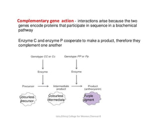 Dr.V.Malathi,Associate Professor in Biochem
istry,Ethiraj College for Women,Chennai-8
 
